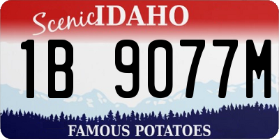 ID license plate 1B9077M