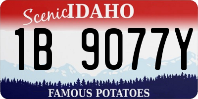 ID license plate 1B9077Y