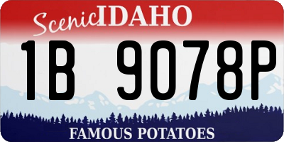 ID license plate 1B9078P