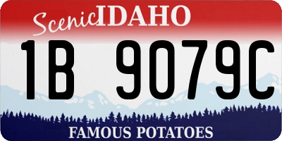 ID license plate 1B9079C