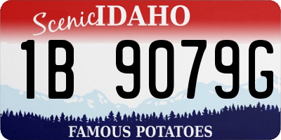 ID license plate 1B9079G