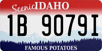 ID license plate 1B9079I