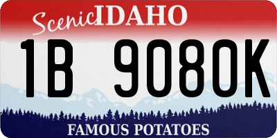 ID license plate 1B9080K