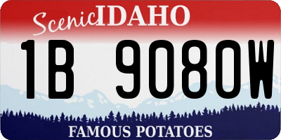 ID license plate 1B9080W