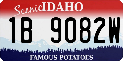 ID license plate 1B9082W