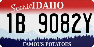 ID license plate 1B9082Y