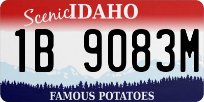 ID license plate 1B9083M