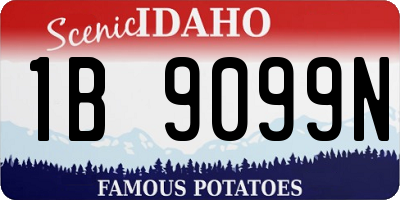 ID license plate 1B9099N