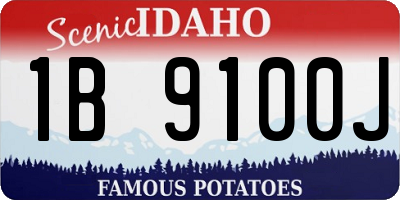 ID license plate 1B9100J