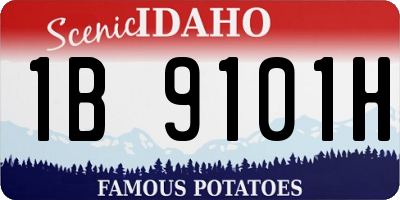 ID license plate 1B9101H
