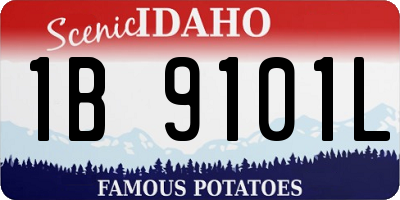 ID license plate 1B9101L