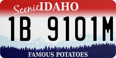 ID license plate 1B9101M