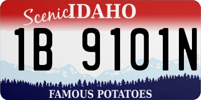 ID license plate 1B9101N