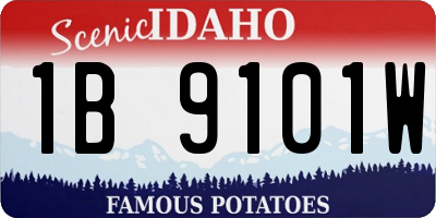 ID license plate 1B9101W