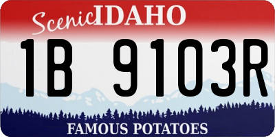 ID license plate 1B9103R