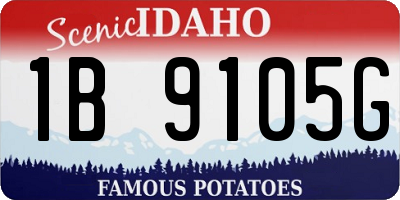 ID license plate 1B9105G