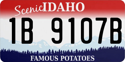 ID license plate 1B9107B