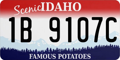 ID license plate 1B9107C