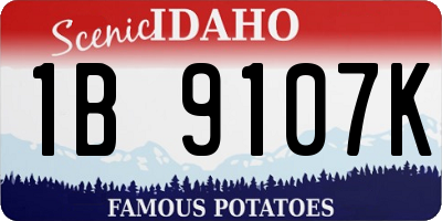 ID license plate 1B9107K