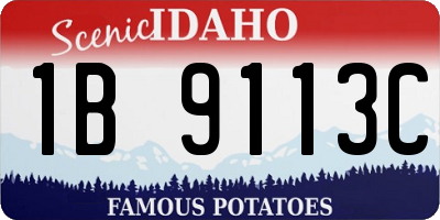 ID license plate 1B9113C