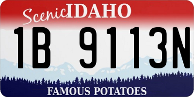 ID license plate 1B9113N