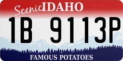 ID license plate 1B9113P