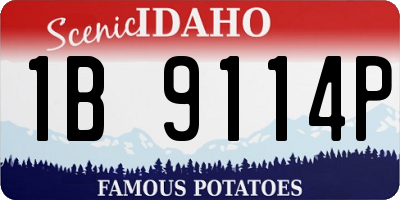 ID license plate 1B9114P