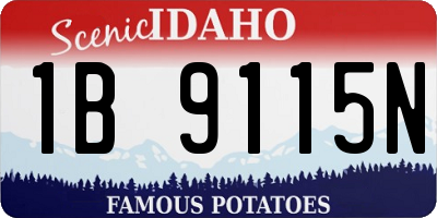 ID license plate 1B9115N