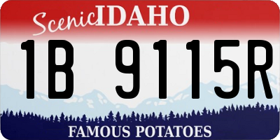 ID license plate 1B9115R