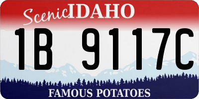 ID license plate 1B9117C