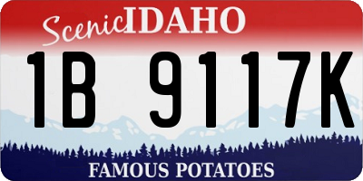 ID license plate 1B9117K