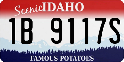 ID license plate 1B9117S