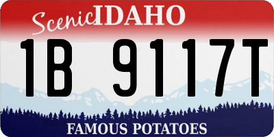 ID license plate 1B9117T