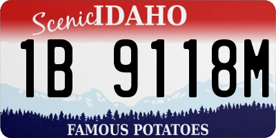 ID license plate 1B9118M