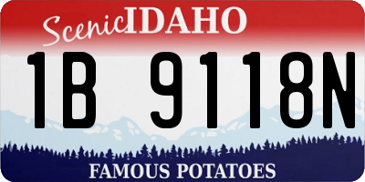 ID license plate 1B9118N