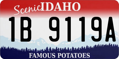 ID license plate 1B9119A