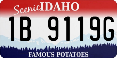 ID license plate 1B9119G