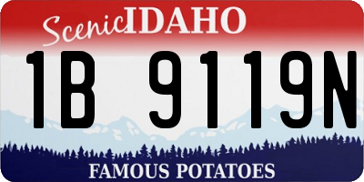 ID license plate 1B9119N