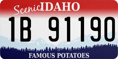 ID license plate 1B9119O