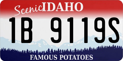 ID license plate 1B9119S