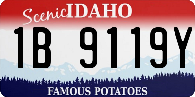 ID license plate 1B9119Y