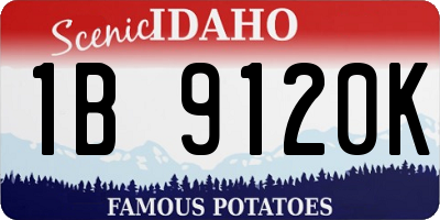 ID license plate 1B9120K