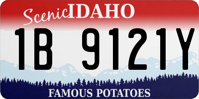 ID license plate 1B9121Y