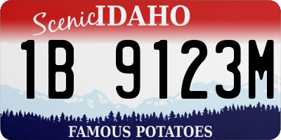 ID license plate 1B9123M