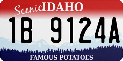 ID license plate 1B9124A