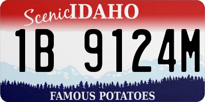 ID license plate 1B9124M