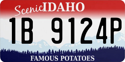 ID license plate 1B9124P