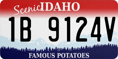 ID license plate 1B9124V