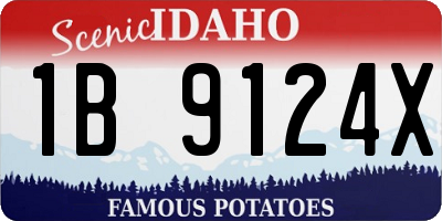 ID license plate 1B9124X