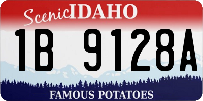 ID license plate 1B9128A